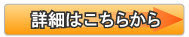 詳細