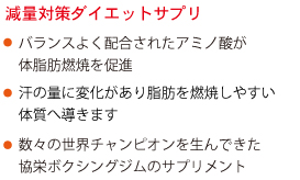 シェイプボクシングプロ